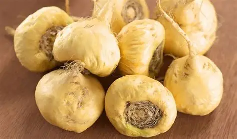 Maca Root